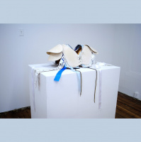 DEMO PROJECT, ALLISON LACHER  JEFF ROBINSON