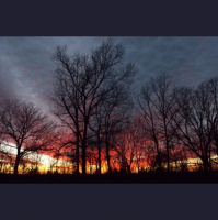 MARK MCCLANE  JOHN DORSEY