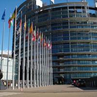 Noticiario Semanal 082013