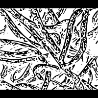 Preface to a Particularly Perky Participatory Process