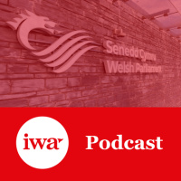 Skills, net zero and the Welsh economy