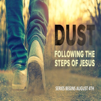 DUST | Week 2 | 8.11.19