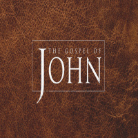 The Gospel of John: Week 6