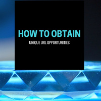 How To Obtain Tons of Unique URLs Off Google