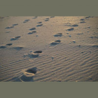 How to Get More Followers and Engagement on Google Plus