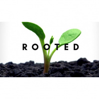 Rooted - Week 2 - Audio