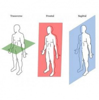 1: Bio-mechanical Osteopathic assessment for sports injuries BODY BACK-UP 3D Check-Up