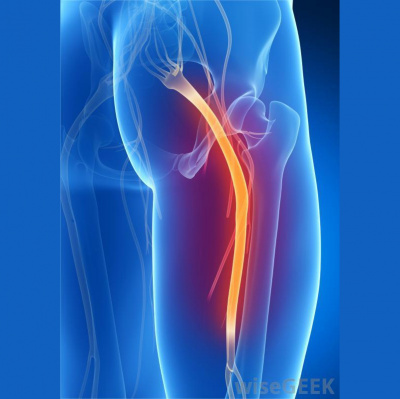 Osteopathy Health Consultancy  Rehabilitation Specialistss Posts