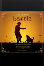 In Search Of Lassie: A Dog Owners Guide To The Lassie Myth