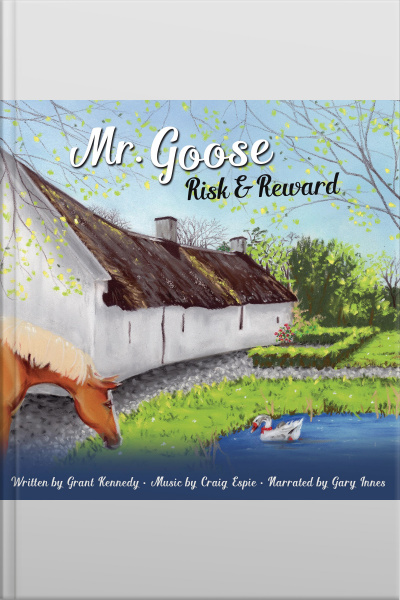 Mr. Goose: Risk  Reward