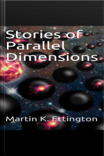 Stories Of Parallel Dimensions