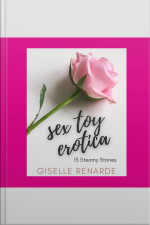 Sex Toy Erotica: 15 Steamy Stories