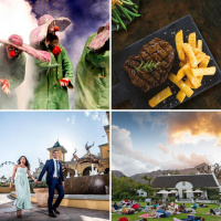 Slava’s Snowshow, The Gold Reef Ride of Your Life… and more…