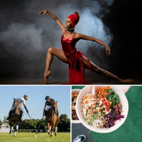 Polo at Inanda Club, Beautiful Ballet and Joyful Jazz…