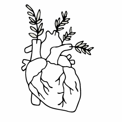 First Baptist Church Cola