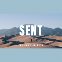 Purpose Over Preference