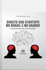 Direito Das Startups No Brasil E No Mundo: Um Panorama Geral Sobre As Leis Das Startups