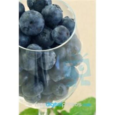 Glenda The Good Foodie Radio Show