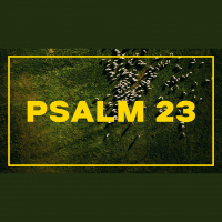 PSALM 23: THANKFUL 4 His Care