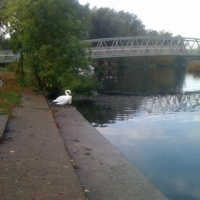 Optimistic Monday - My latest work update