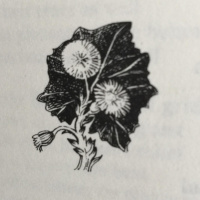 A Quiet Mind by John Clare