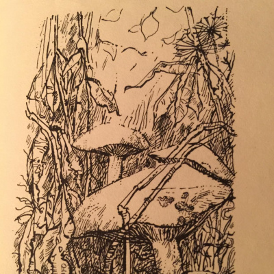 Nic Treadwells Posts