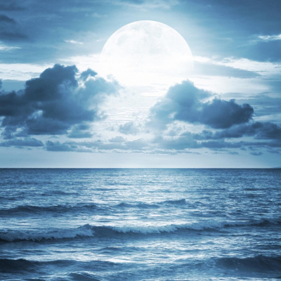 Nic Treadwells Posts