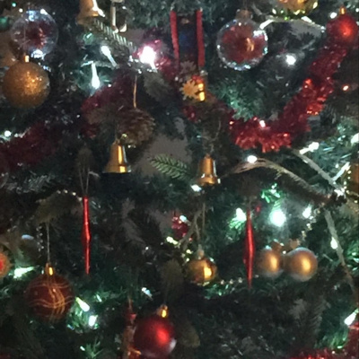 Nic Treadwells Posts