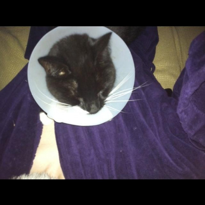 Nic Treadwells Posts