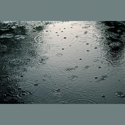 Nic Treadwells Posts