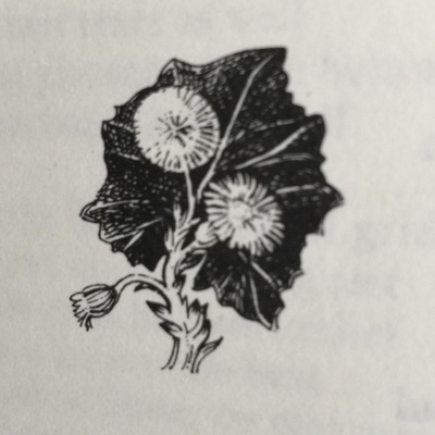 Nic Treadwells Posts