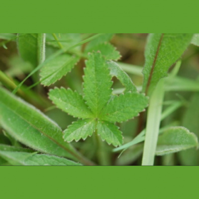 Nic Treadwells Posts