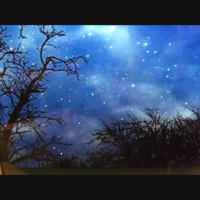 Nic Treadwells Posts