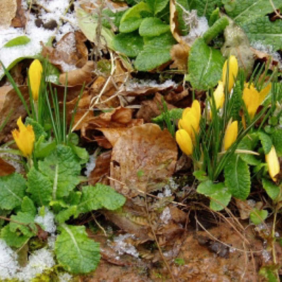 Nic Treadwells Posts