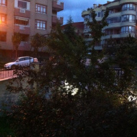 Ankaranin erkenci kuslari: Saat 05.00