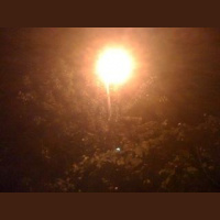 Cırcırböcekleri @Kefken