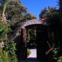 Datcada belediye hoparlörü vs cırcırböcekleri