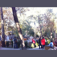 Kuğulu Park sesleri, 27 Ekim 2013 Pazar