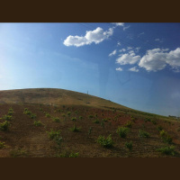 Göbeklitepe yolunda