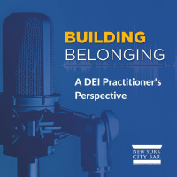 Building Belonging: a DEI Practitioners Perspective
