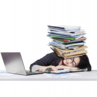 Work Hard, or Work Smart?