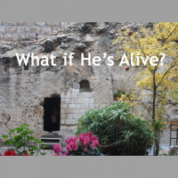 What if Hes Alive? - Audio