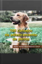 100 Consejos De Adiestramiento De Perros
