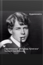 Исповедь Хулигана