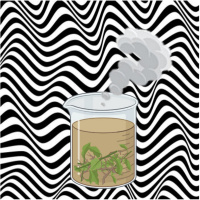 Psychedelics Down to a Tea