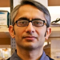 How do hormones control sex-specific behaviors?: Dr. Nirao Shah, University of California - San Francisco 