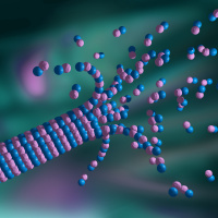 Totally Microtubular