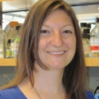 Mef2A and muscle regeneration: Christine Snyder, Boston University