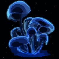 Lights, Blights, and Deathly Insights: close encounters of the fungal kind