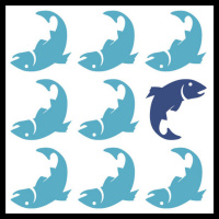 Cracking The Autism Code With Matt State